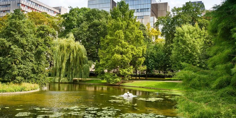El estanque del Parque Leopoldo-Parques y Jardines Bruselas - Guía de Viajes Bruselas