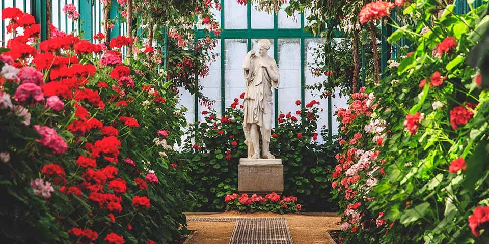 Flores en Los invernaderos de los jardines reales de Laeken-Guía Viaje Bruselas