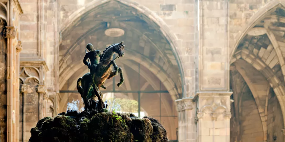 Detalle del patio de la Catedral de Barcelona - Catedral de Barcelona - Qué ver en Barcelona - Guía de Viajes Barcelona - Buendía Tours